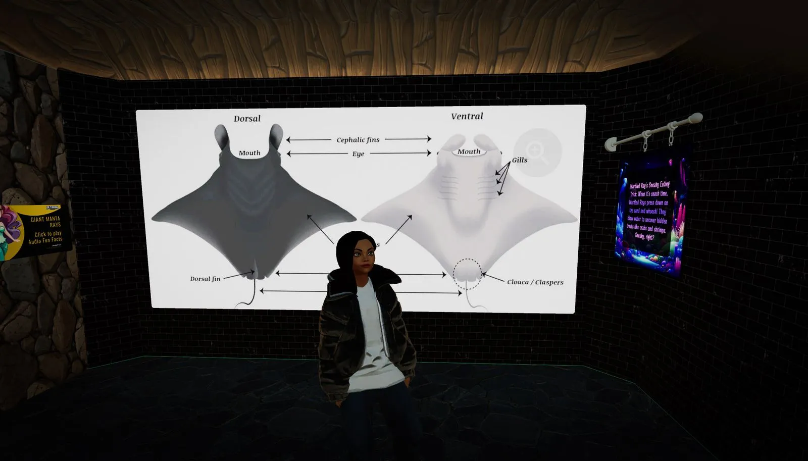 Manta Ray Shoals