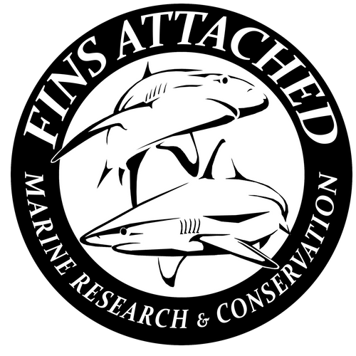 Fins Attached Logo
